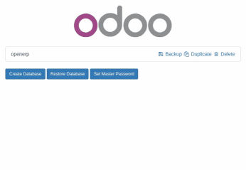 Odoo CMS - a big picture